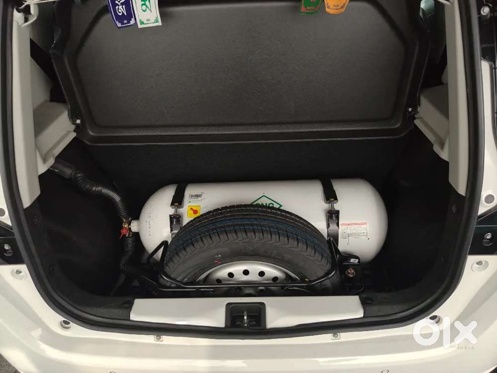 Maruti Suzuki Wagon R 2025 Cng & Hybrids 4324 Km Driven