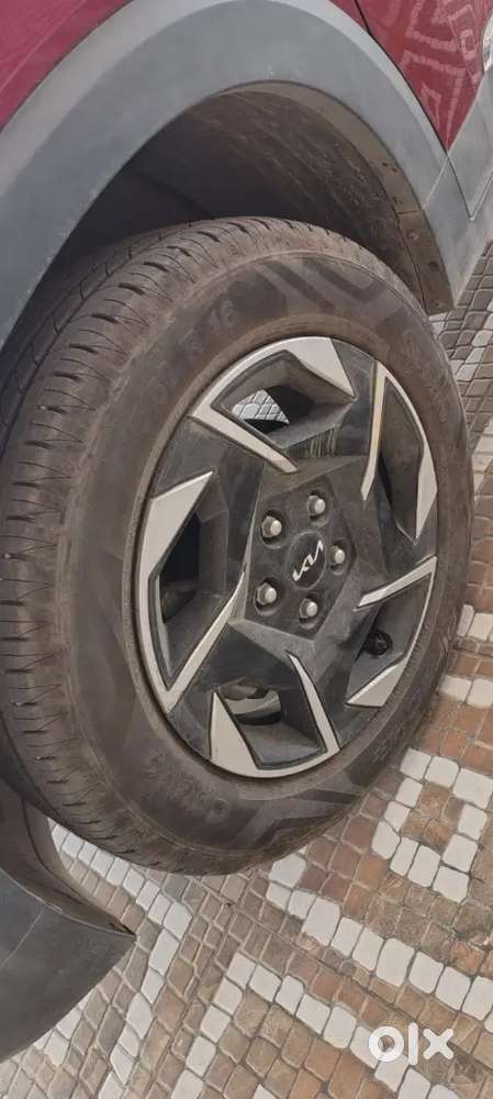 Kia Sonet Aurochs Edition 2024