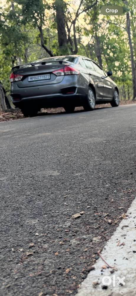 Maruti Suzuki Ciaz 2017 Diesel Well Maintained