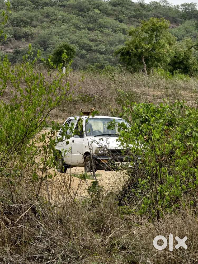 Maruti 800 1998 Petrol