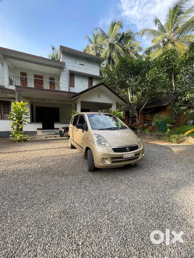 Family Used Zen Estilo