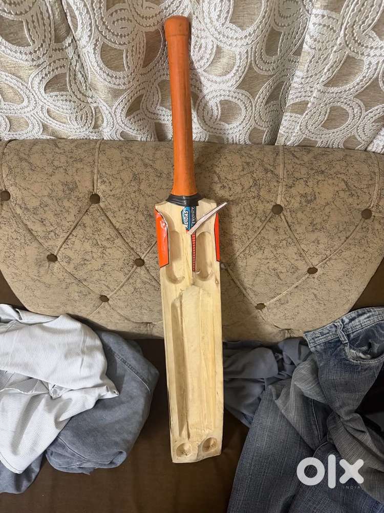 Cricket bat