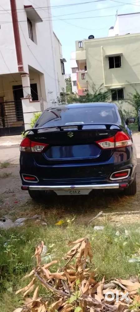 Maruti Suzuki Ciaz Delta Petrol 2024
