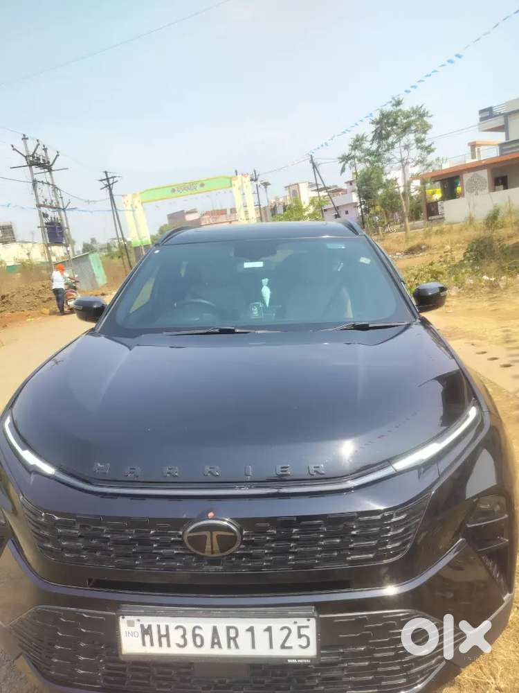 Neat And Clean New And Special Car Selling