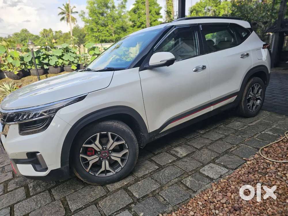 Kia Seltos 2019 Petrol Well Maintained