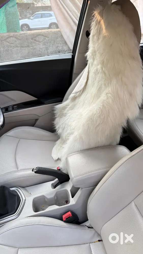 Mahindra Xuv300 W8 Petrol Manual