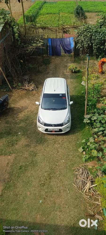 Maruti Suzuki Celerio 2020