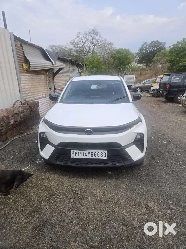 Tata Nexon 2024 Diesel 50100 Km Driven