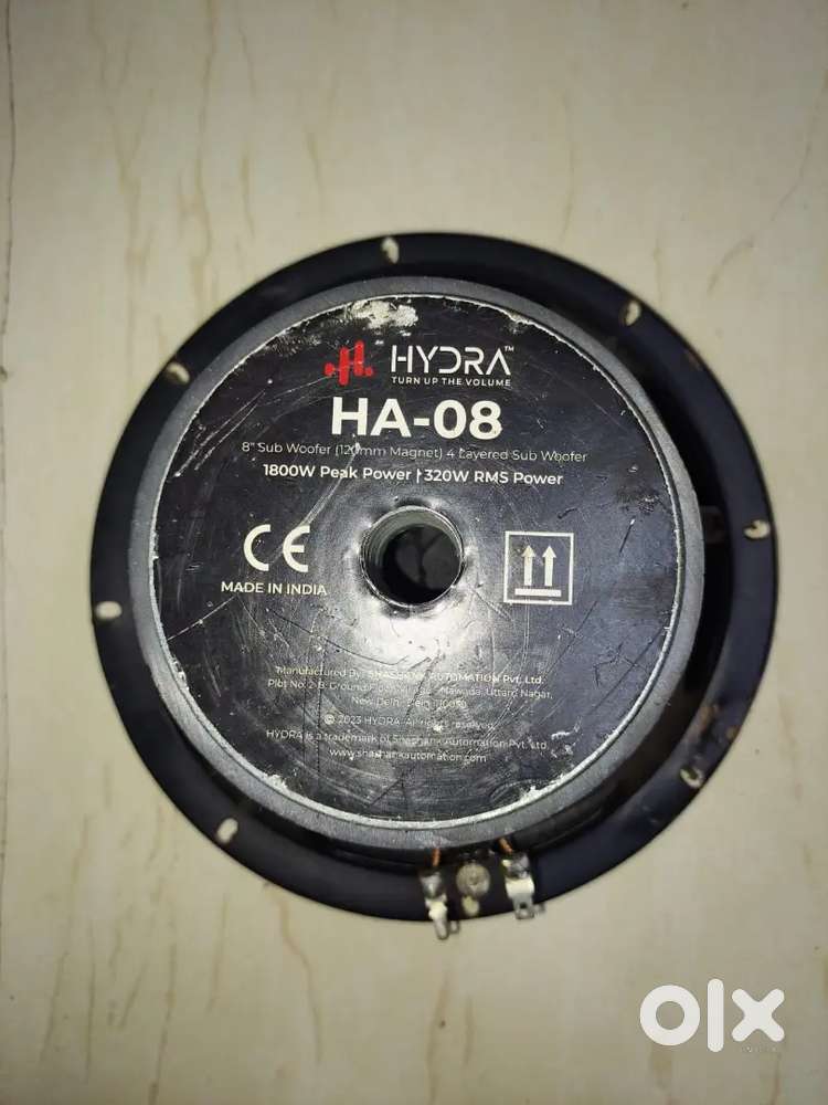 SMPS and speaker
