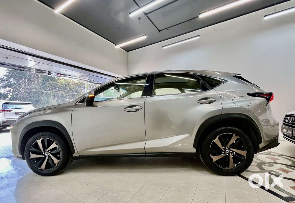Lexus Nx Lexus-nx-300h-luxury, 2019, Petrol