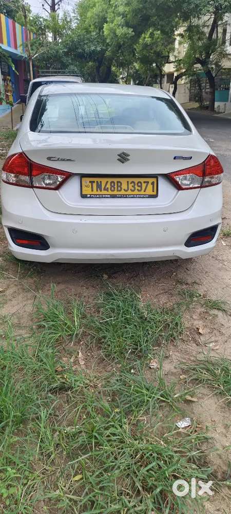 Maruti Ciaz 1.5 Sigma 2025