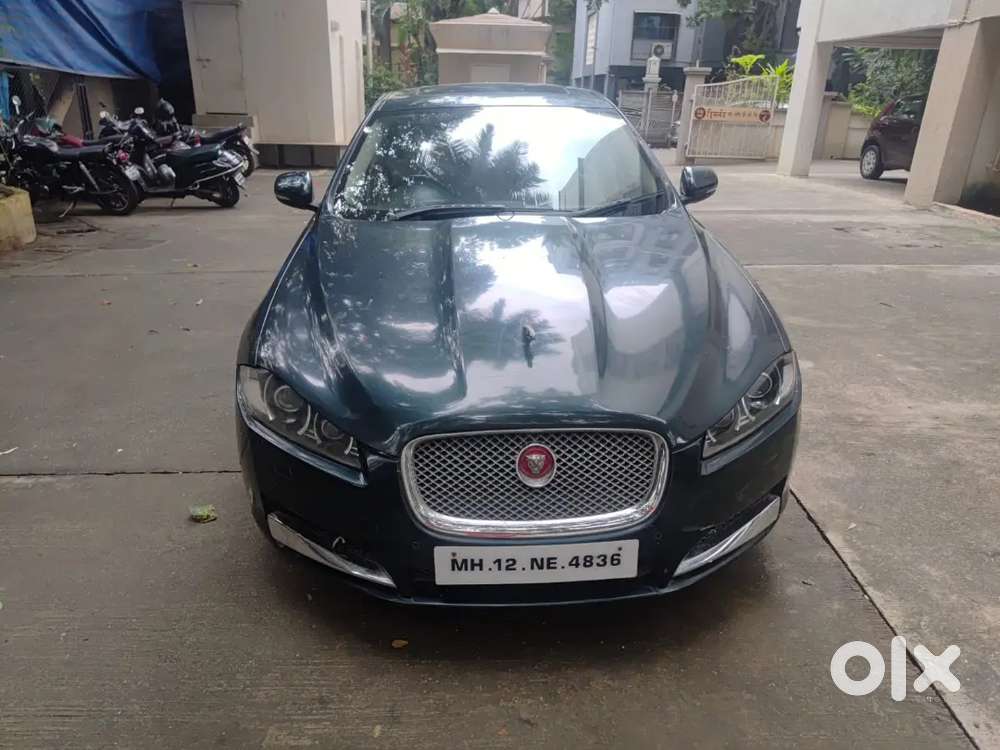 Jaguar King Of The Street