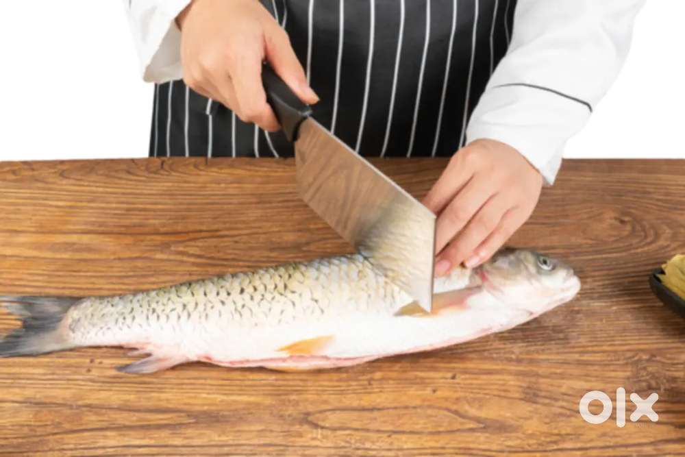 Need Experienced Fish Cutter