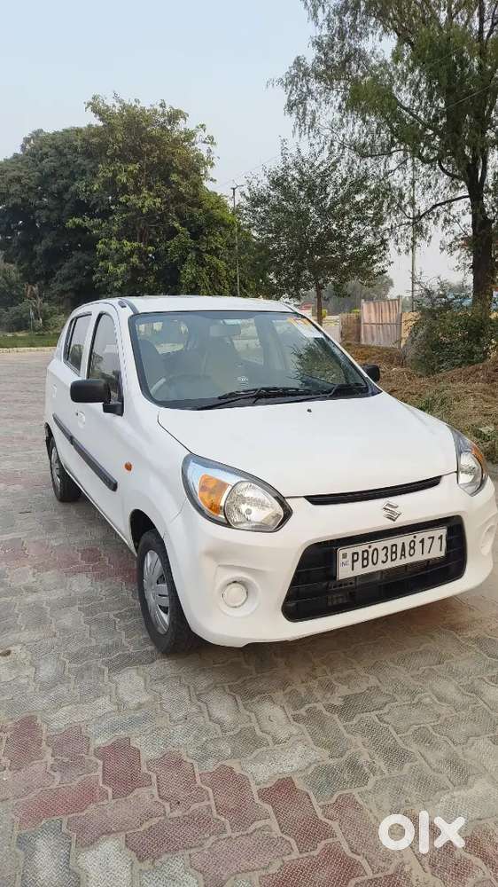Alto 800 Lxi 2019 Model