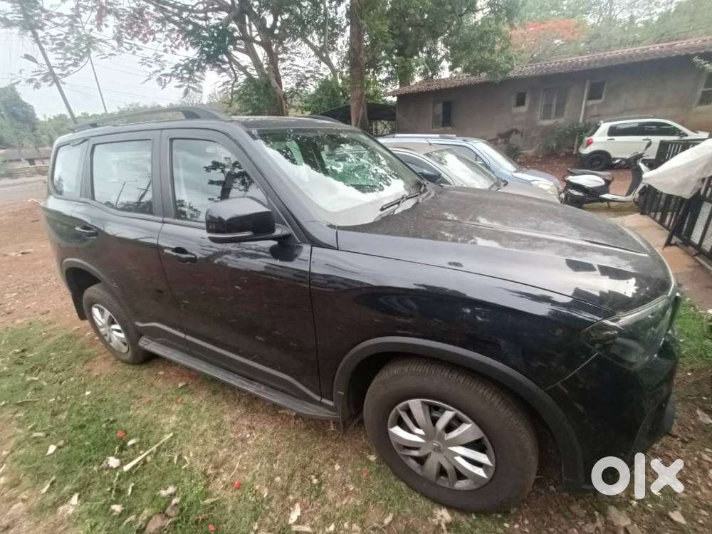 Napolean Black New Scorpio N