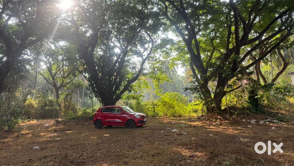 Maruti Suzuki Celerio 2023 Petrol Well Maintained