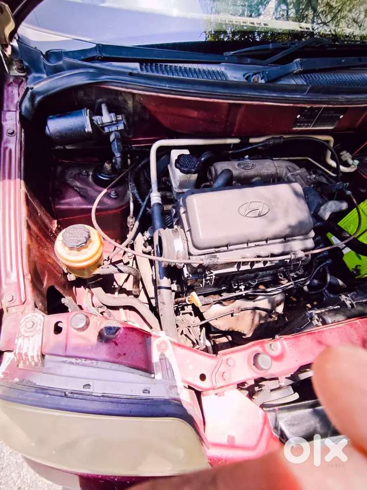 Santroxingxo Fcuptoapril2027 Limitededition
Topmodel 
Excellentrunning