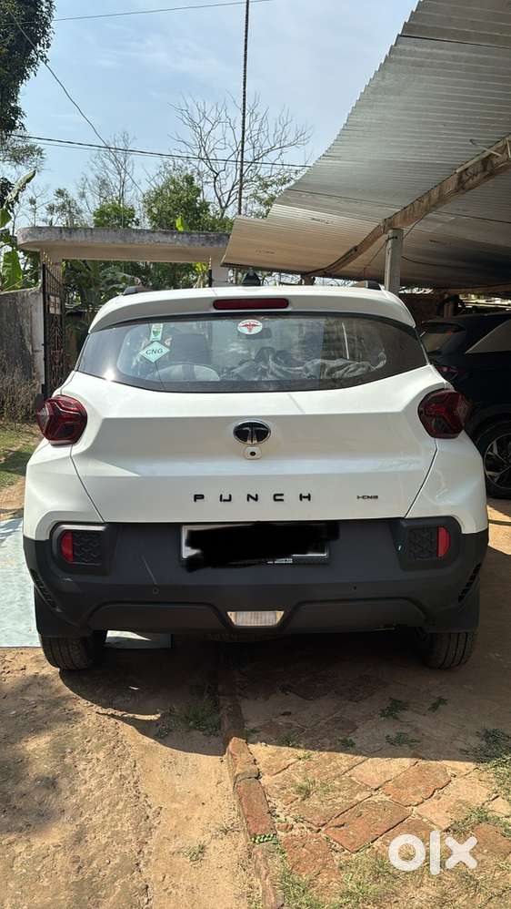 5 Months Old Cng Punch