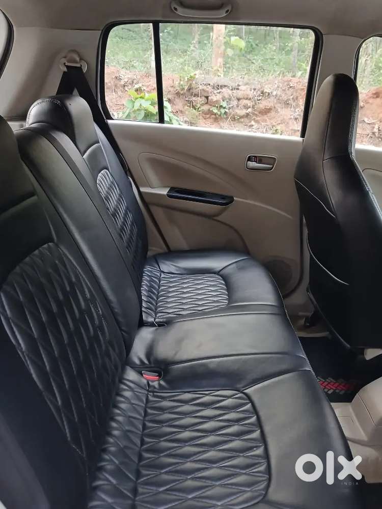 Celerio Company Cng Tn-t Board