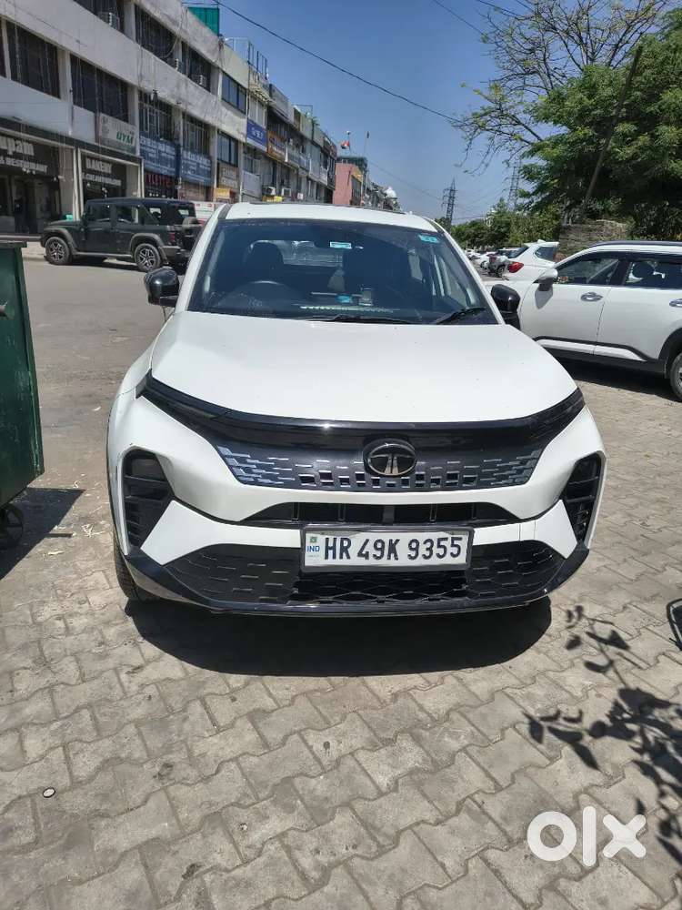 Tata Curvv 2024 Petrol 4000 Km Driven