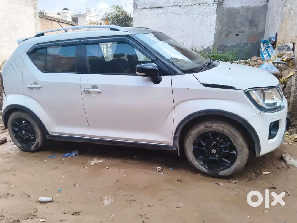 Maruti Suzuki Ignis 2023 Petrol 38000 Km Driven