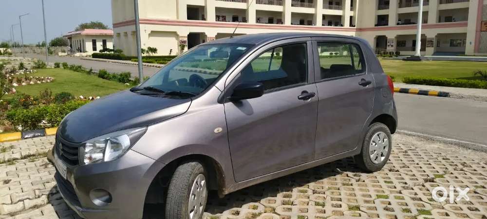 Maruti Suzuki Celerio 2016 Petrol Good Condition