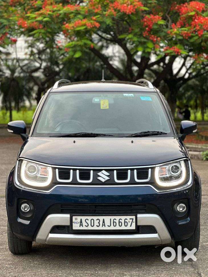Maruti Suzuki Ignis 1.2 Alpha Mt, 2023, Petrol
