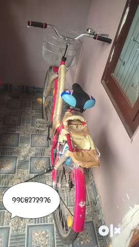 Lady bird cycle in olx sale