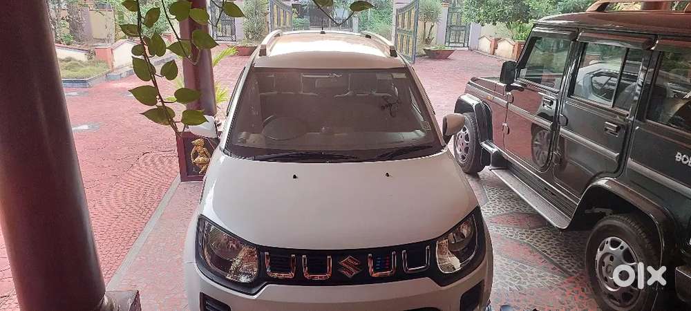 Maruti Suzuki Ignis 2025 Petrol 12500 Km Driven . 50000 /- Accessories