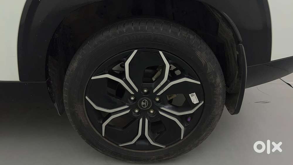 Tata Curvv Accomplished Plus A 1.5 Kryojet Diesel 6mt, 2024, Diesel