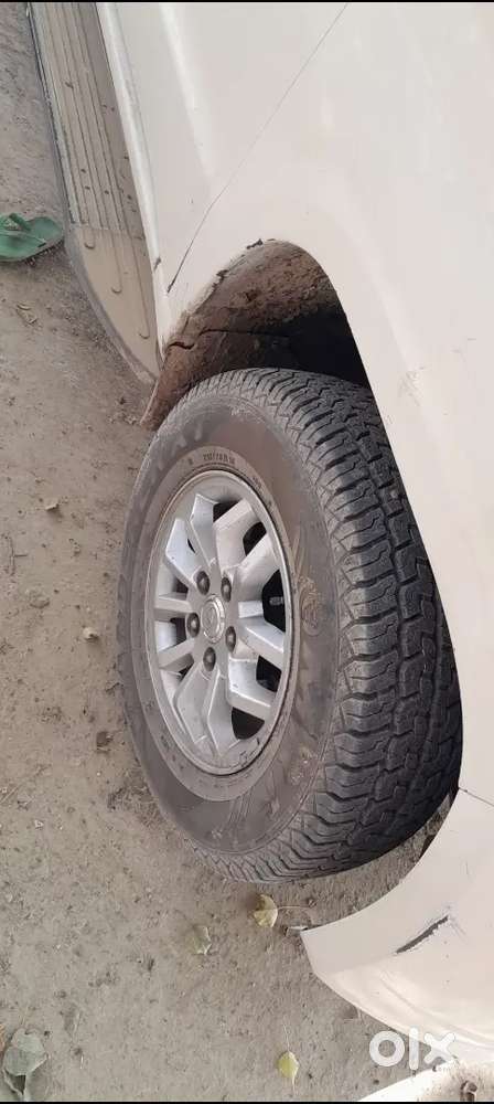 First Oner Fress Condition