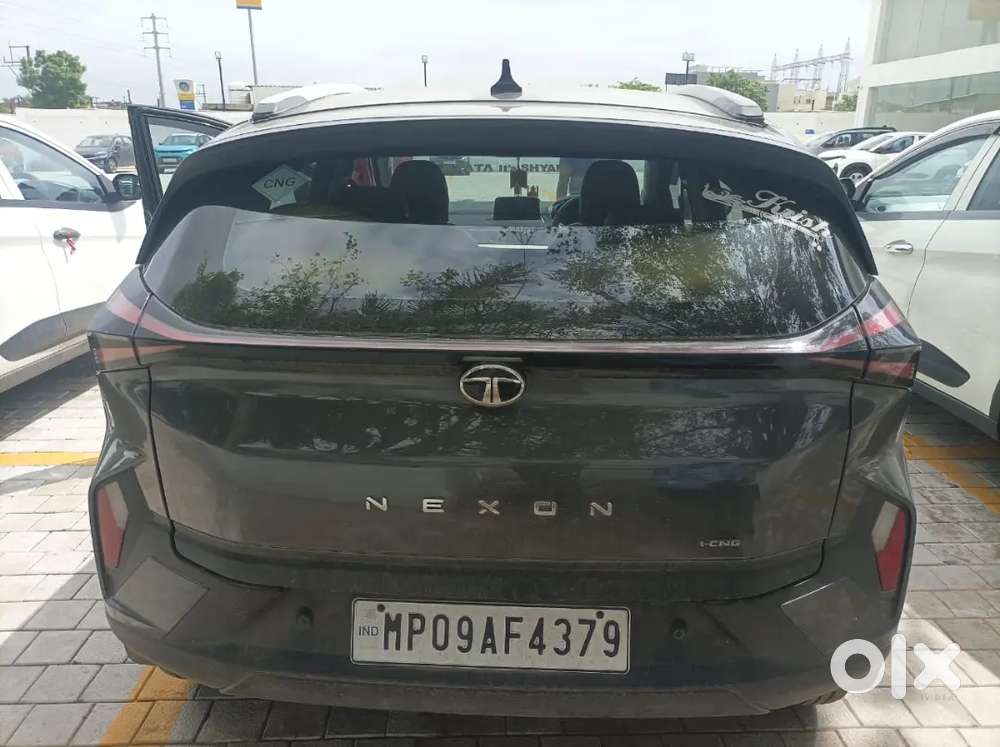 Tata Nexon 2025 Variant Petrol + Cng Pure S