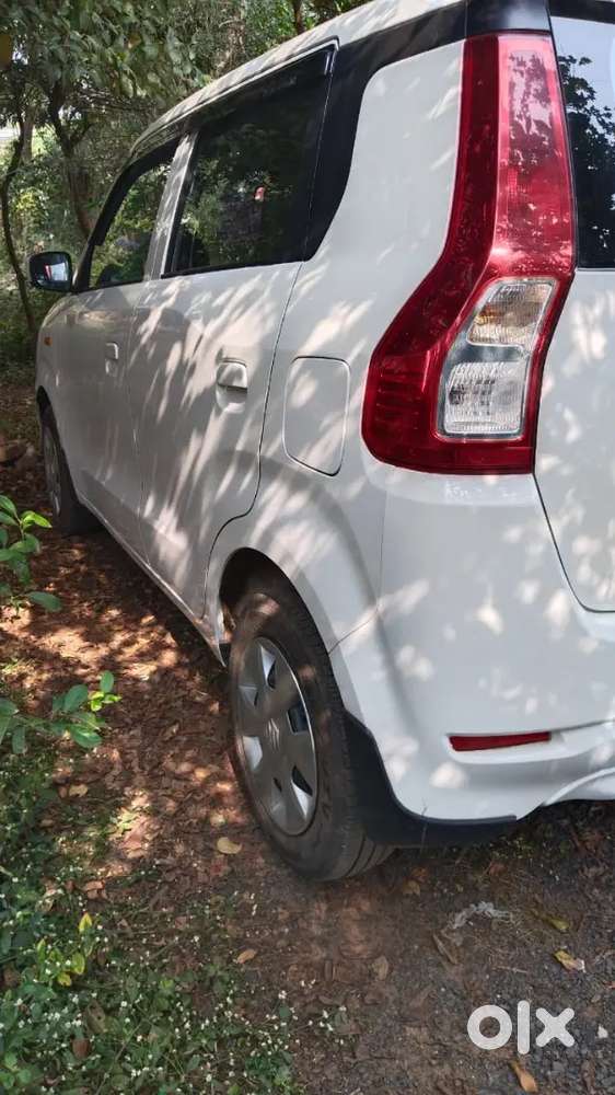 Maruti Suzuki Wagon R 1.0 2024 Cng & Hybrids 55000 Km Driven