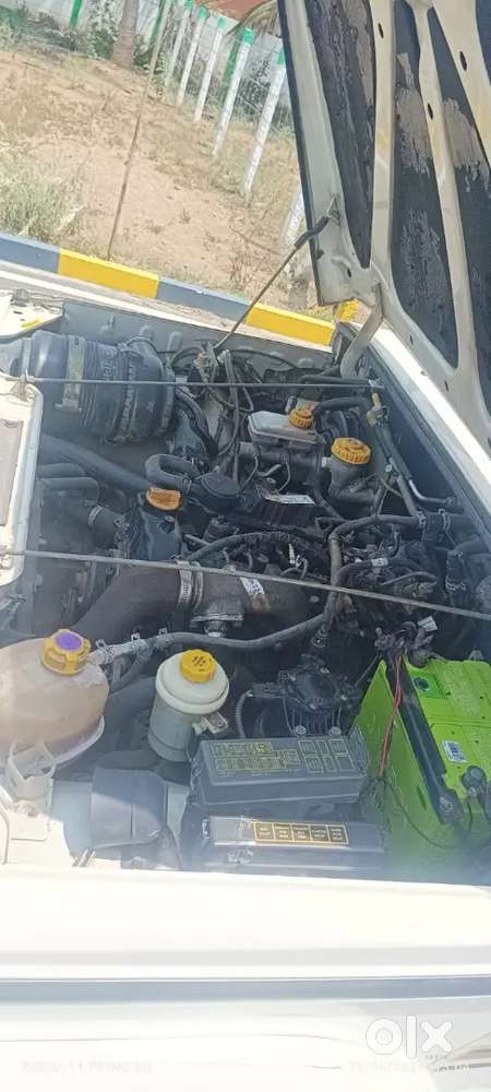 Road King Bolero Power Plus