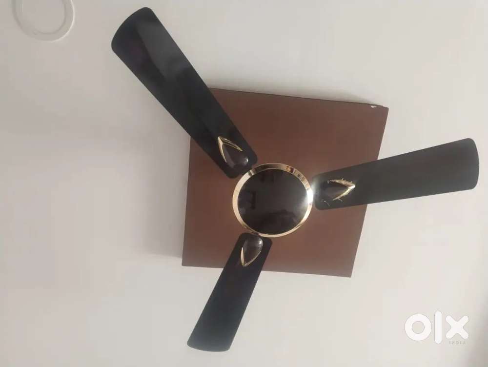 Ceiling Fans