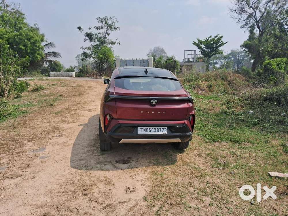 Tata Curvv 2025 Petrol 4000 Km Driven