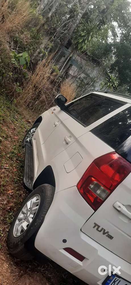Tuv 300 T8 Amt
