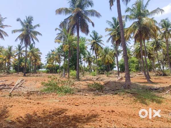 Beautiful Managed Farmland for sale with Weekend home
