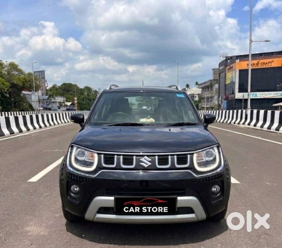 Maruti Suzuki Ignis 1.2 Alpha, 2024, Petrol