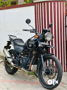 Himalayan ba6 new arrivals