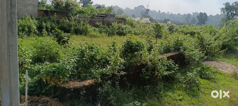 Dhanbad Me Hill view Land For sale |road and electricity are available