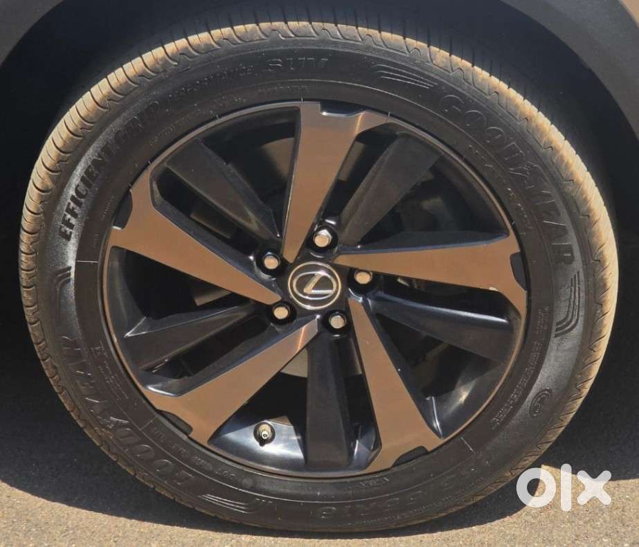 Lexus Nx Lexus-nx-300h-luxury, 2019, Petrol