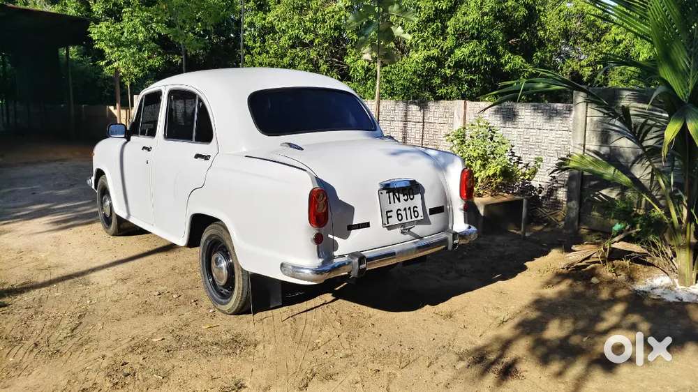 Ambassador 1817 Car Diesel