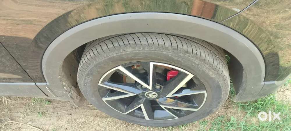 Skoda Kushaq 2025 Petrol 17000 Km Driven