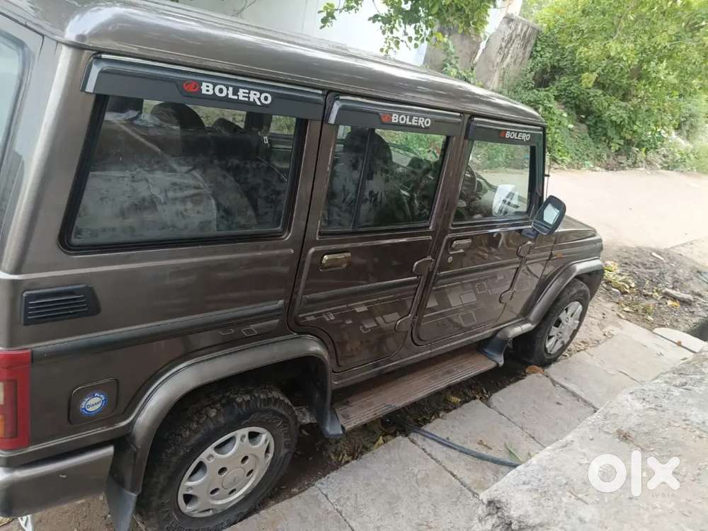 Bolero For Sale
