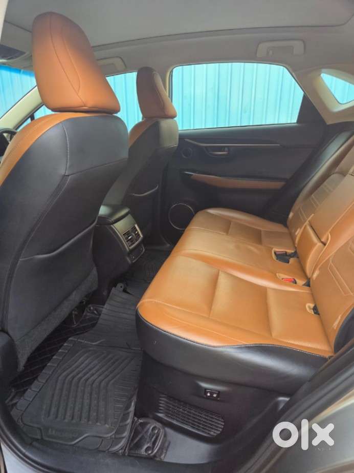 Lexus Nx Lexus-nx-300h-luxury, 2019, Petrol