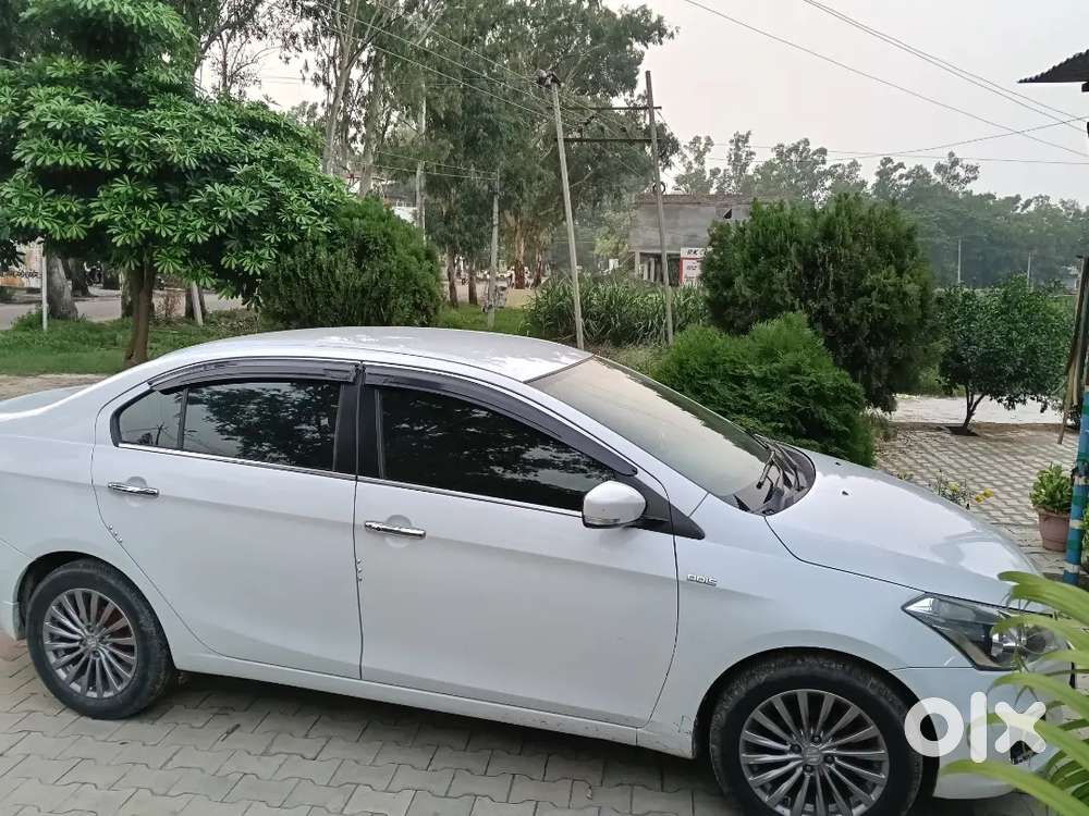 2016 Maruti Suzuki Ciaz Zdi Plus Shvs Diesel
