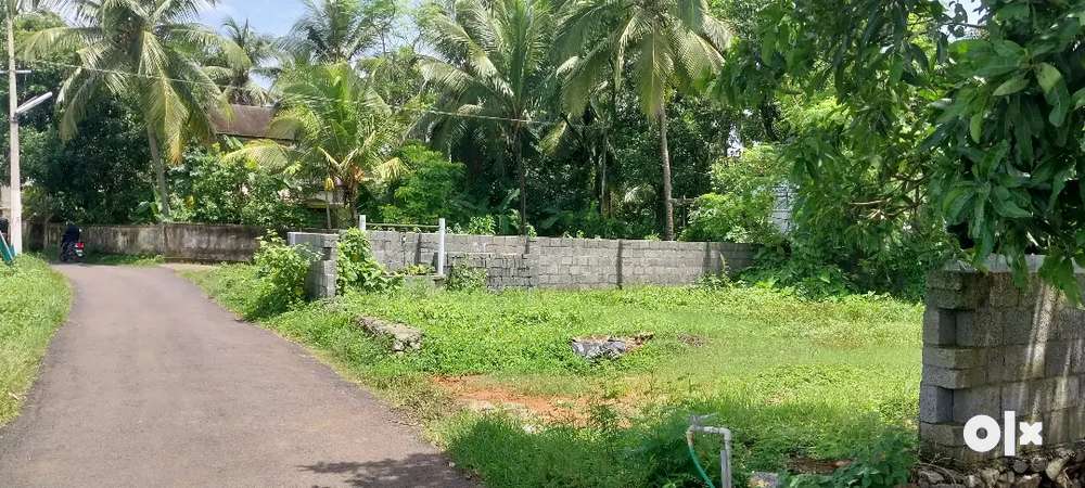 Cheroor Cent Plot For Sale In Thrissur Lands Plots