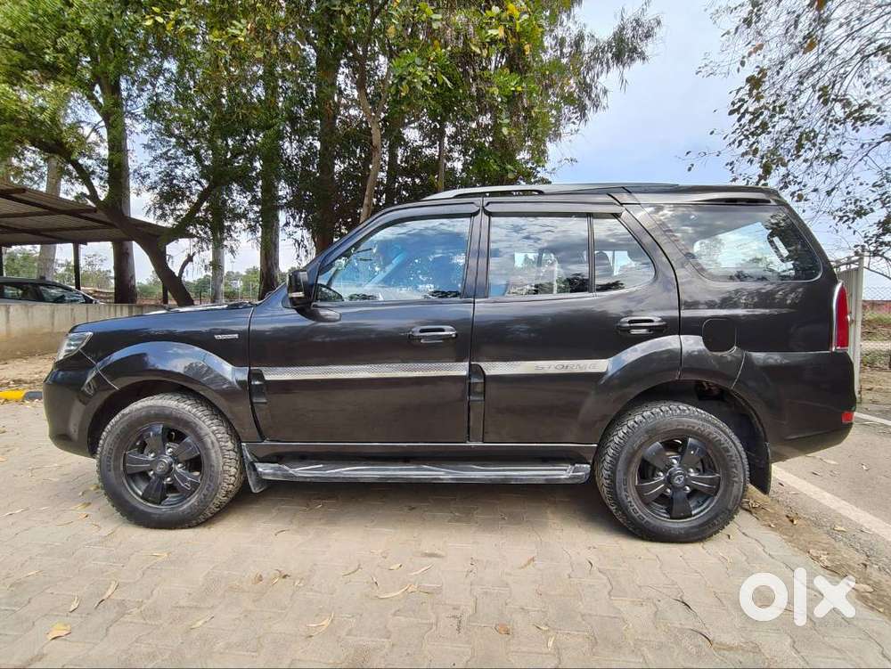 Black Safari Storme Top Model