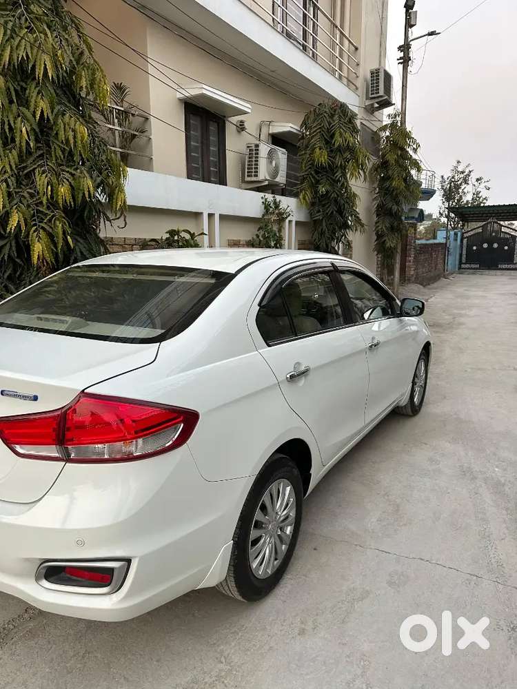 Maruti Suzuki Ciaz Zxi Petrol  2025